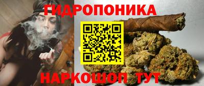 крисы Малгобек