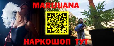 крисы Малгобек